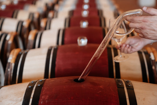 Quels sont les facteurs et les pratiques qui influencent le développement de Brettanomyces dans les vins ?