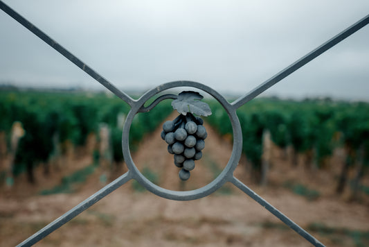 THE SOCIAL AND ENVIRONMENTAL MANIFESTO OF VIGNOBLES CHATONNET