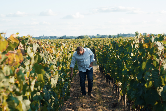 La conception, l’intégration et la gestion des Bâtiments d’exploitation en Agro-Synergie : notre exemple.