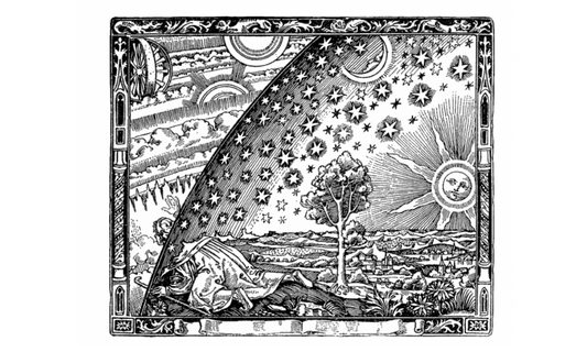 Biodynamique pas sûr, Biosynergie pour sûr