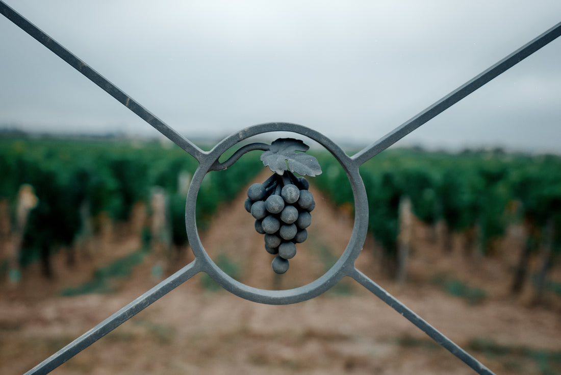 THE SOCIAL AND ENVIRONMENTAL MANIFESTO OF  VIGNOBLES CHATONNET