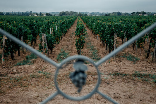 En Agro-Synergie, Peut-on créer ou doit-on seulement préserver un paysage ?