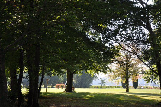 Principes et mise en œuvre pratique de la viticulture Agro-Synergique : Création et préservation d’un écosystème environnement global naturel original et durable