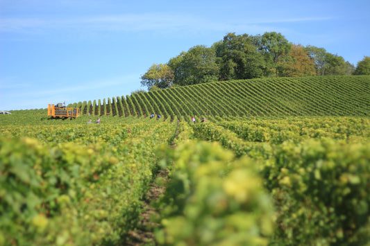 Approche syncrétique des Agricultures respectueuses et efficaces